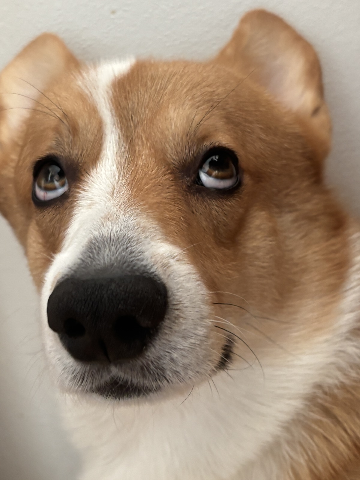 This Béď is watching all the super-cool users :3